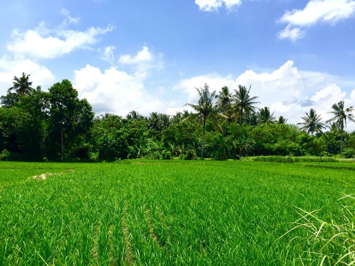 Villa Santai Ubud  Exterior photo
